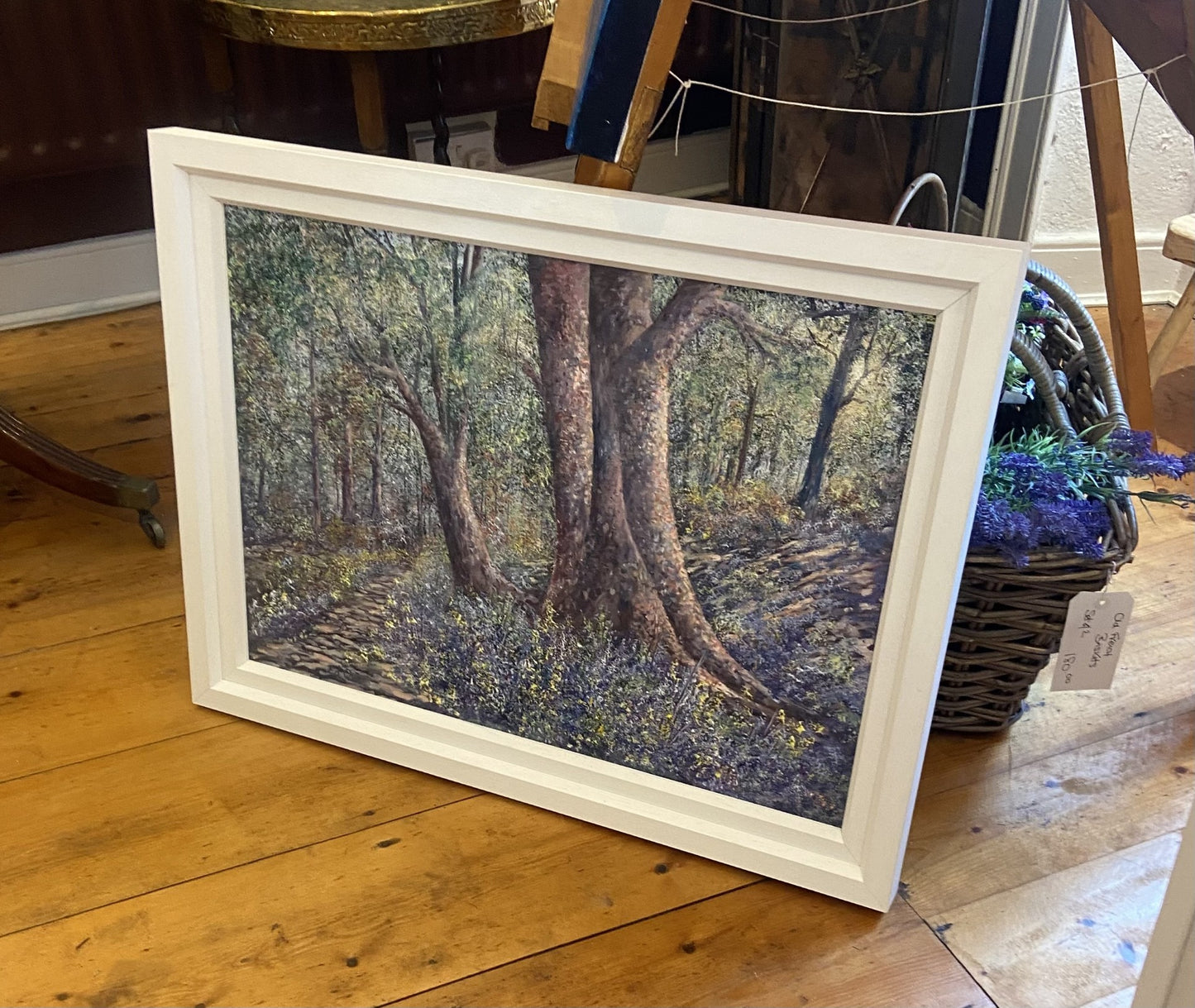 Forest Walk - Ed Quinn