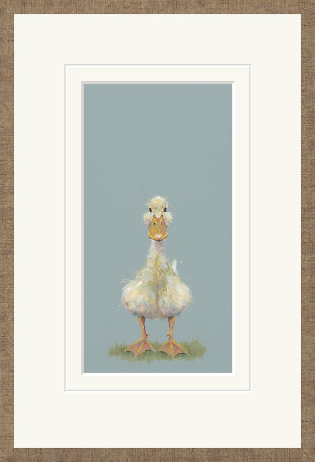 Quackers - Nicky Litchfield