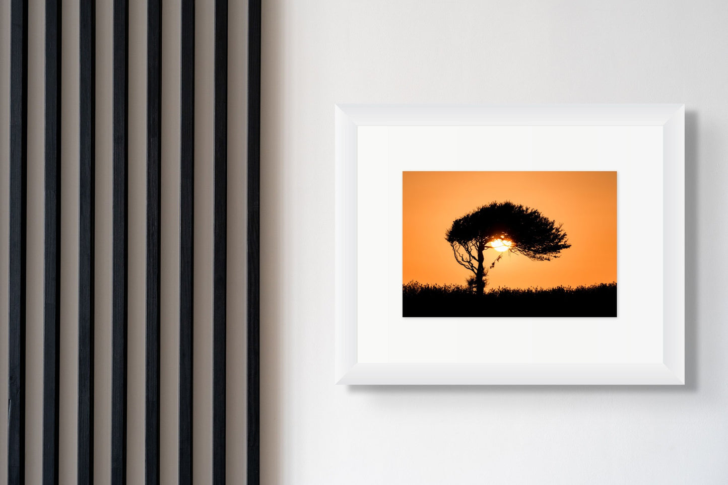 Sally O'Reilly Sentio Studio - Sun Tree