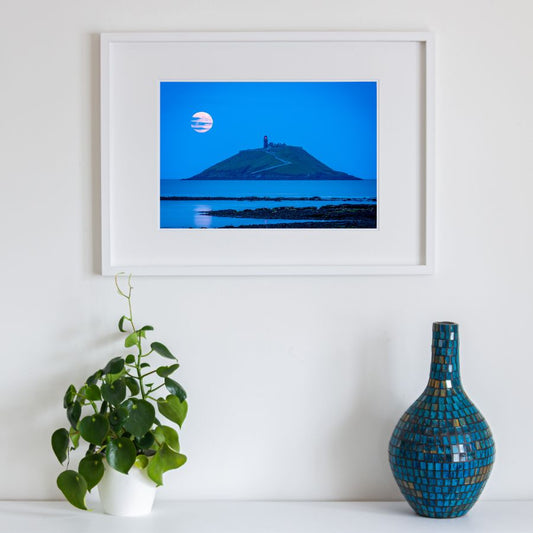 Curlew under Buck Moon  Ballycotton - Sally O'Reilly