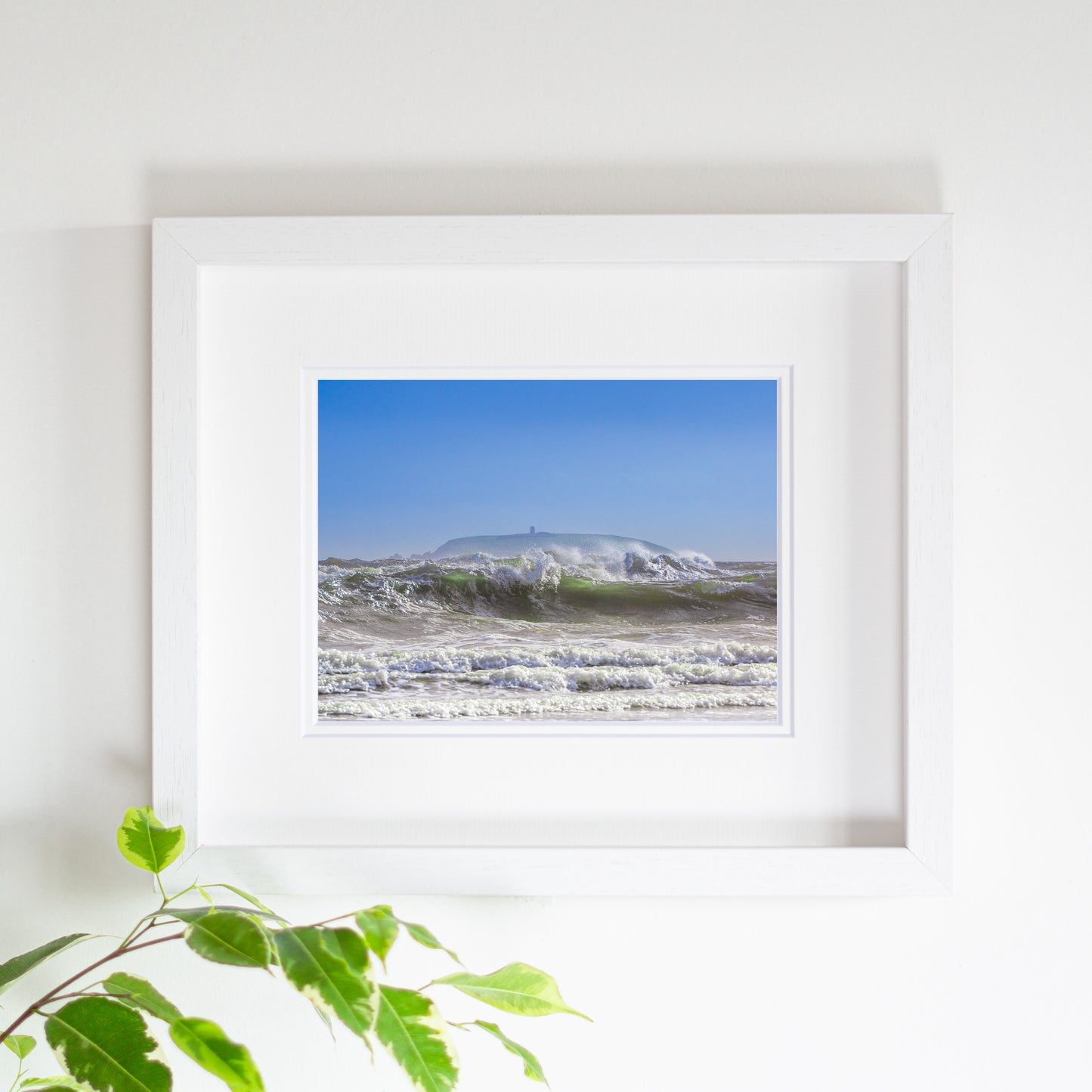 Sally O'Reilly Sentio Studio - Energise