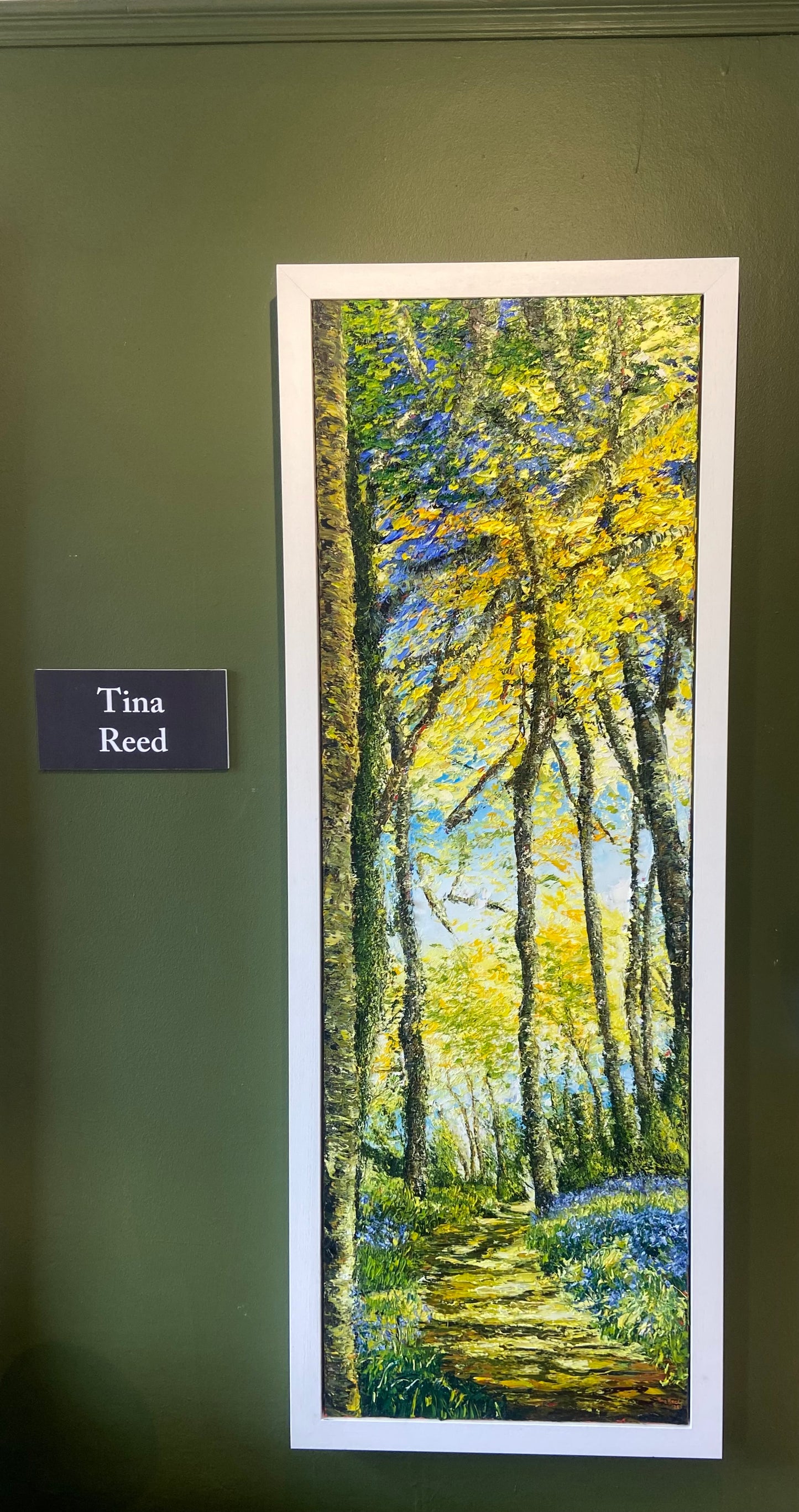 Tina Reed - Bluebell Wood - Innisbeg