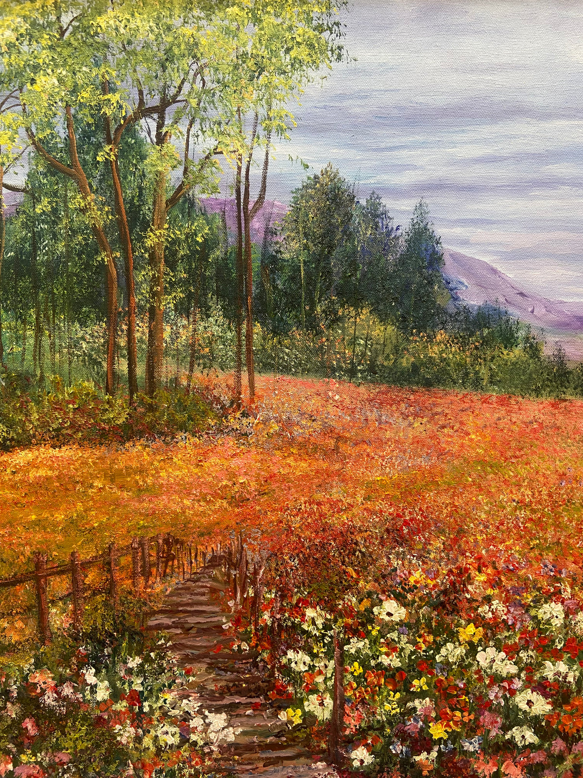 Ed Quinn - The Meadow