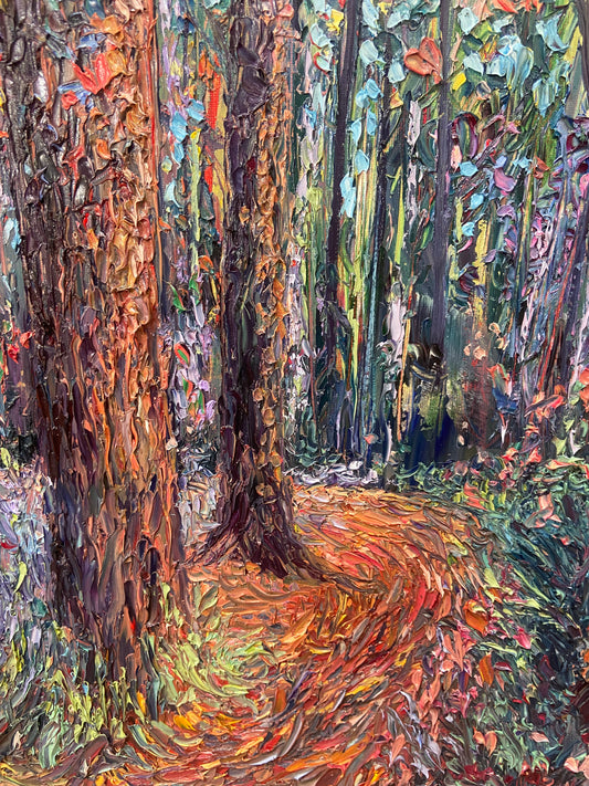Ed Quinn - Forest Walk