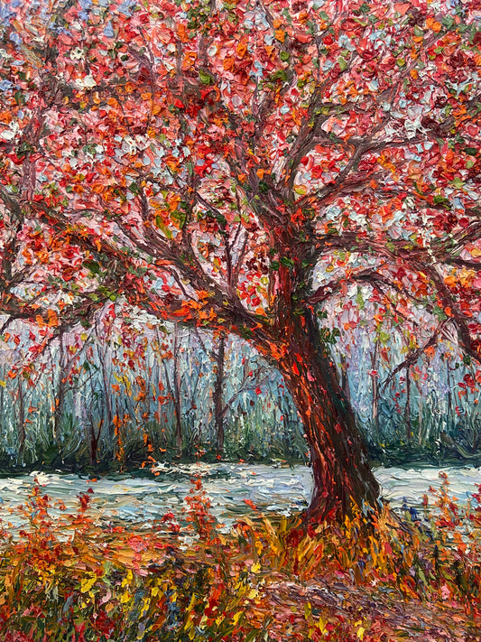 Ed Quinn - Autumn Light