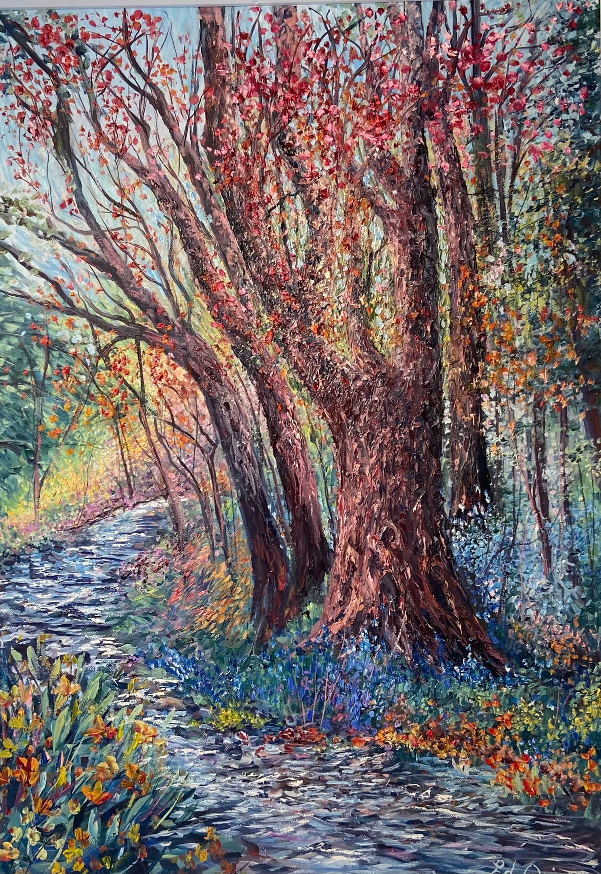 Ed Quinn - Forest Walk