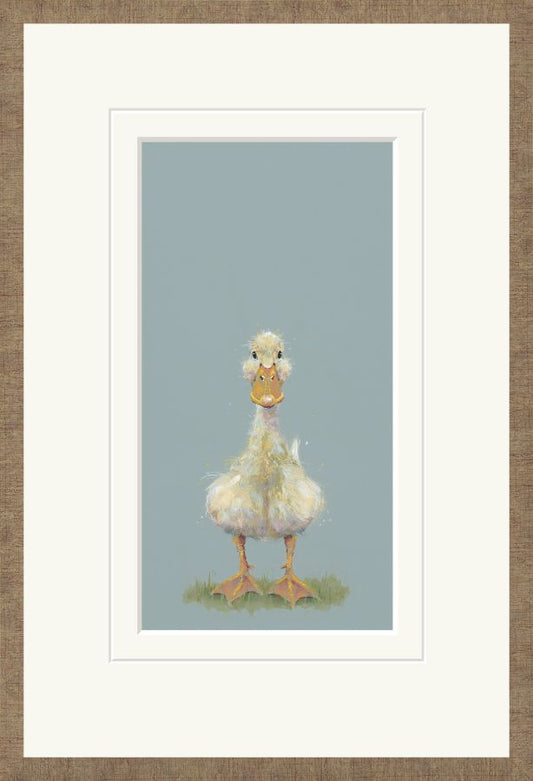 Quackers - Nicky Litchfield