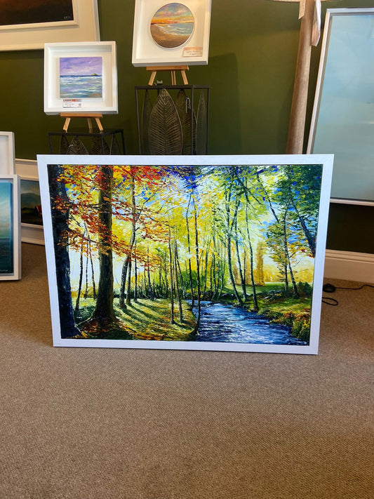 Tina Reed - EARLY MORNING LIGHT
