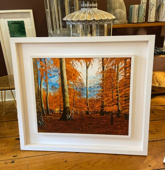 Vincent Smith - Autumn Canopy